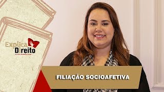 Explica Direito Filiação Socioafetiva  2019 [upl. by Ardnuhsed]