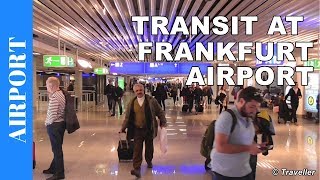 TRANSIT WALK AT FRANKFURT Airport FRA Terminal 1  Connection Flight Transfer Arriving amp Departing [upl. by Aelgna]